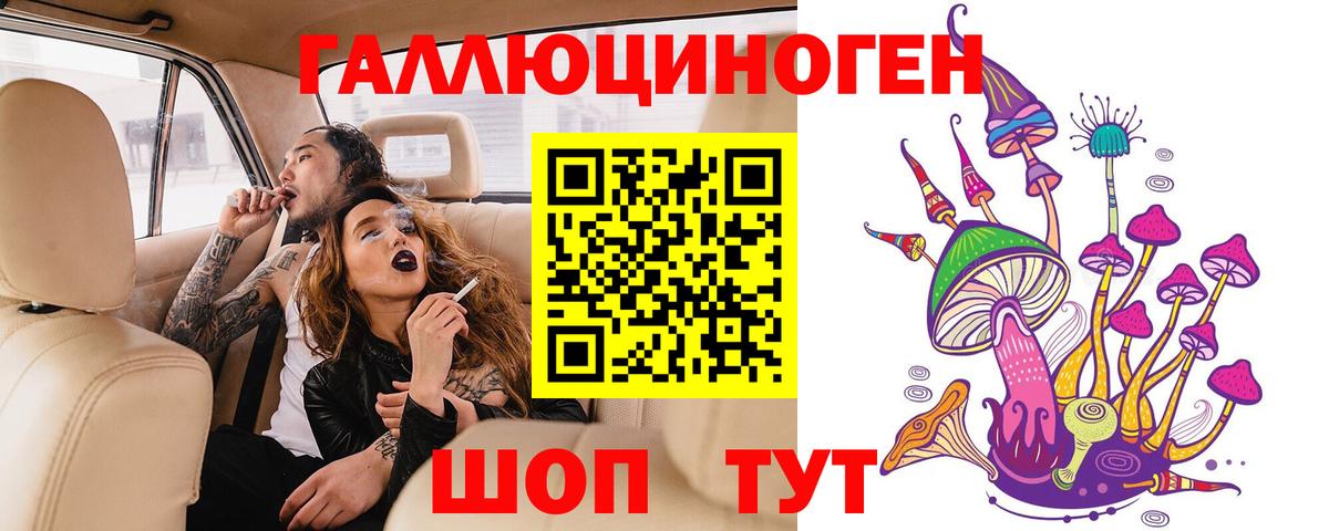 Псилоцибиновые грибы Psilocybine cubensis Беслан